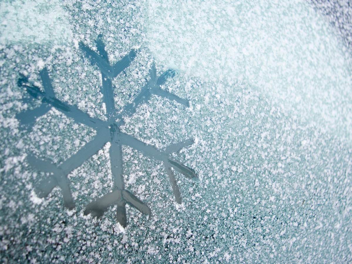 snow flake on a windshield 
